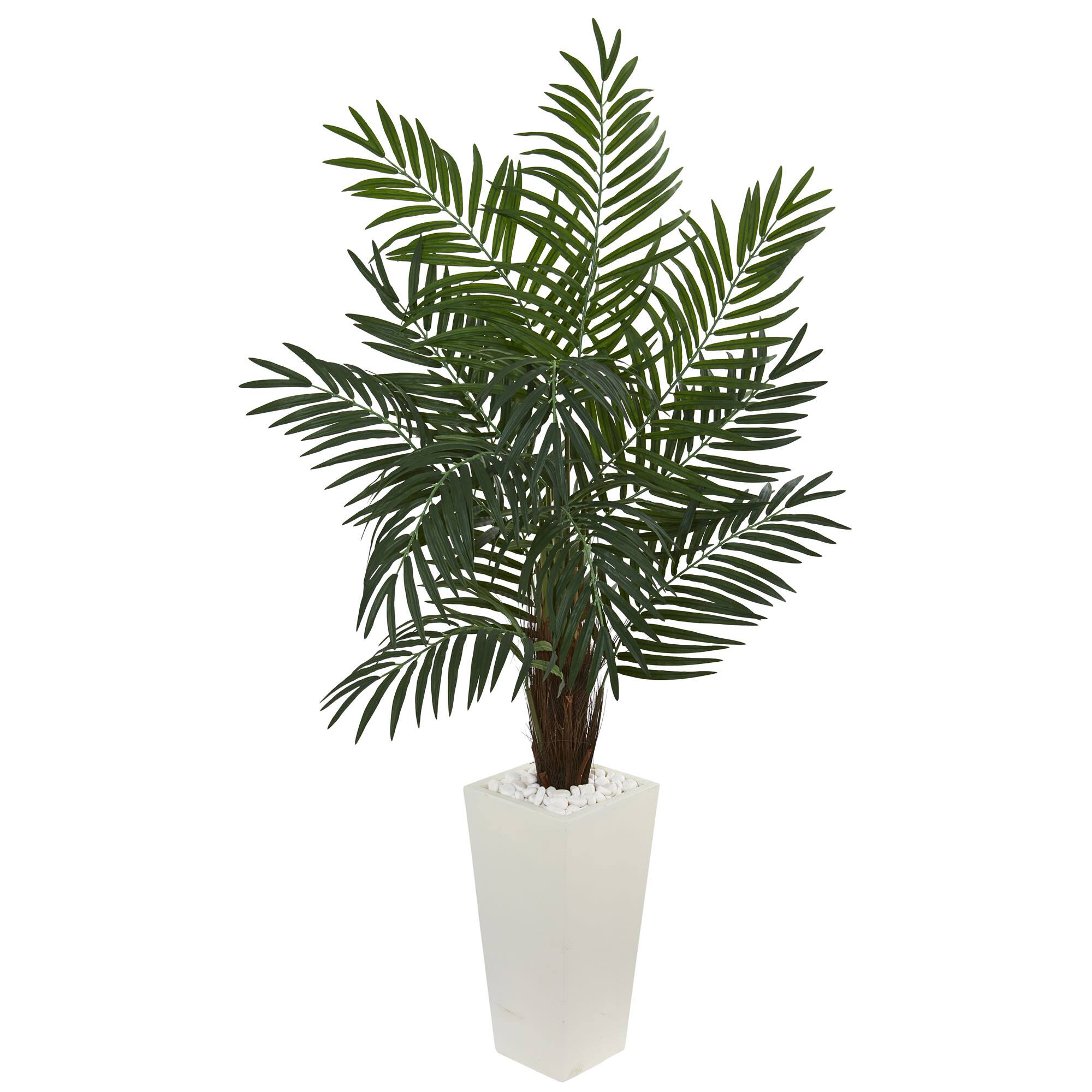 5.5ft. Areca Palm Tree in White Tower Planter